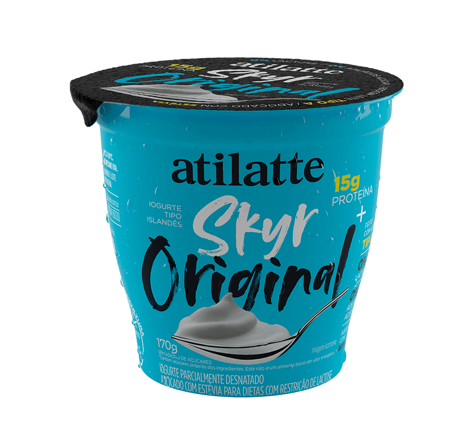 skyr-170-original