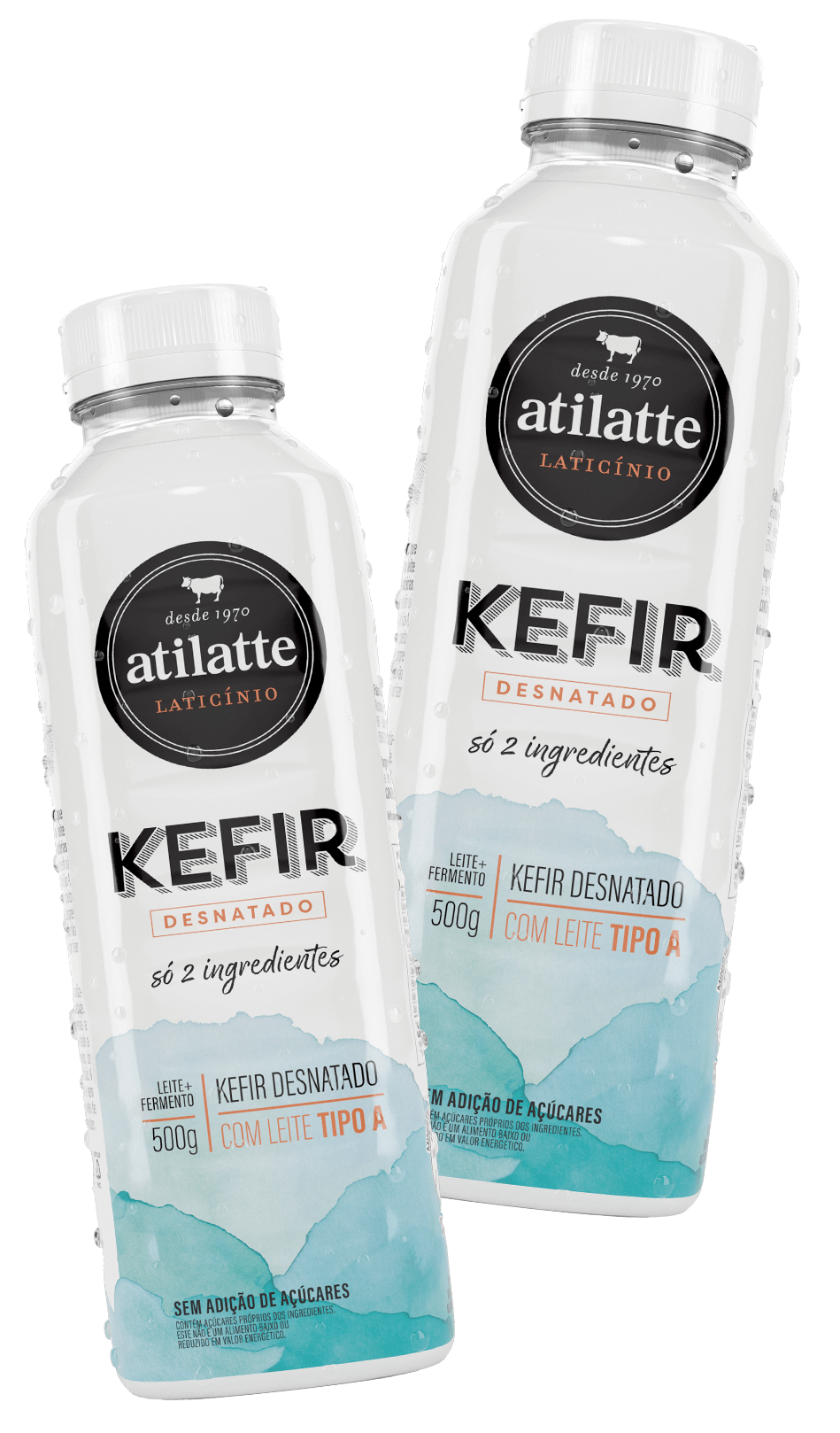 Kefir Desnatado