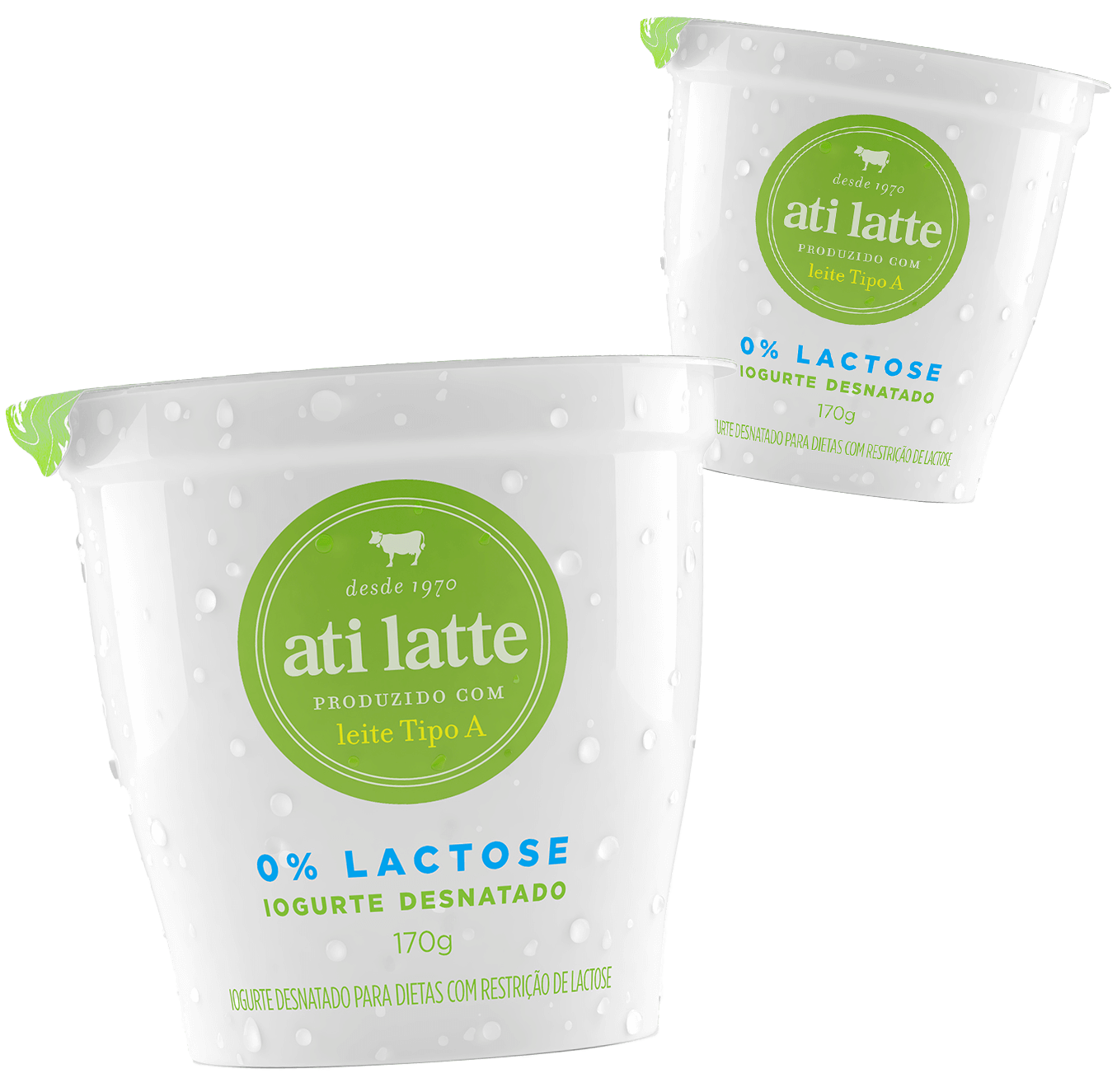 Iogurte Desnatado 0% Lactose